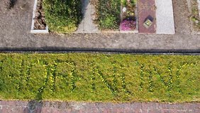 Hoffnung 2021 Friedhof