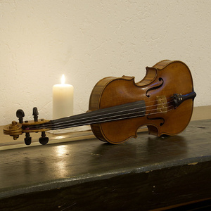 Violine