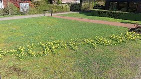 Hoffnung 2019 Lukashaus