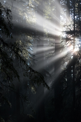 Sonnenstrahlen