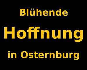 Blühende Hoffnung in Osternburg