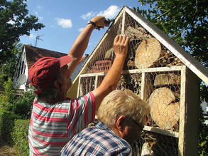 2 Männer arbeiten am Insektenhotel